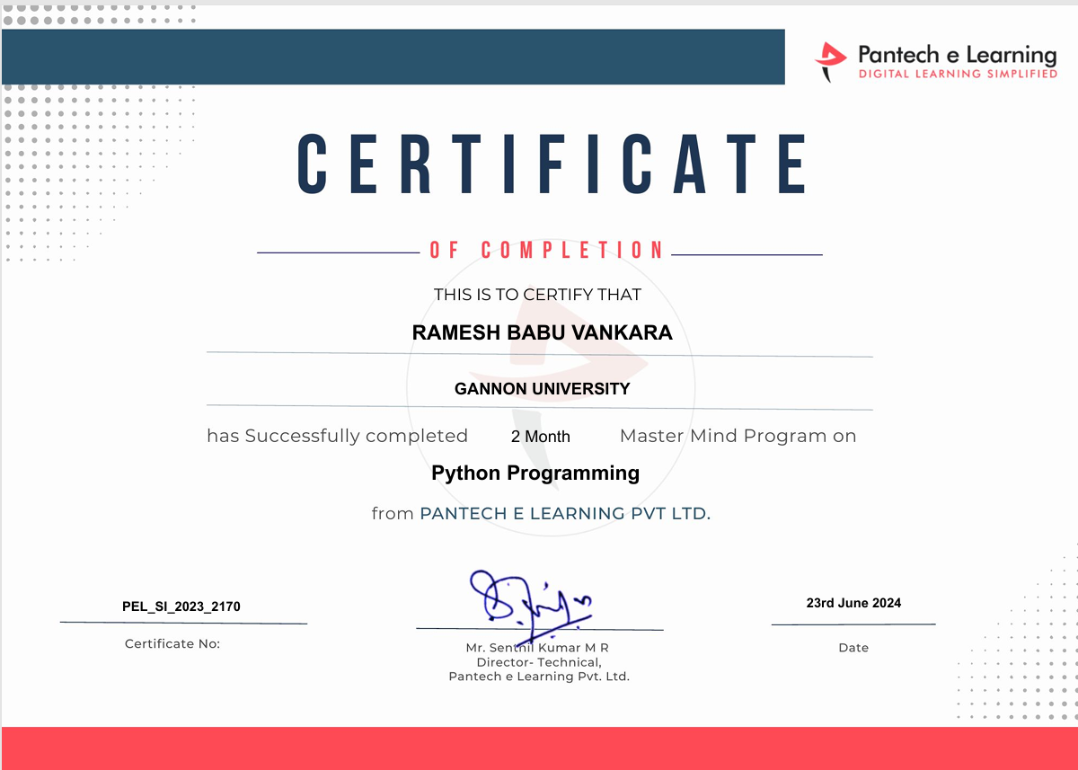 Python Internship